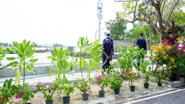 ހަމައެކަނި ތާރުއެޅުމެއް ނޫން، އަމާޒަކީ ތިމާވެއްޓާ ރައްޓެހި ފެހި މަގުތަކެއް ބިނާކުރުން: އެމްޓީސީސީ