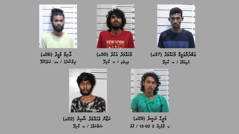 ކާށިދޫއިން ހައްޔަރުކުރި މަސްތުވާތަކެތި ވިޔަފާރިކުރާ 5 މީހުން