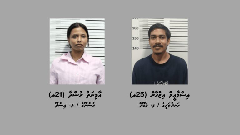މަސްތުވާތަކެއްޗާއެކު ހުޅުމާލެއިން ހައްޔަރުކުރި ދެ މީހުން