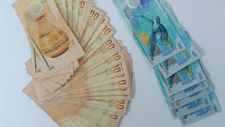 ސައިކަލު މަޑި ދަށުން ވަގަށް ނެގި ފައިސާ-- ފޮޓޯ: ފުލުހުން