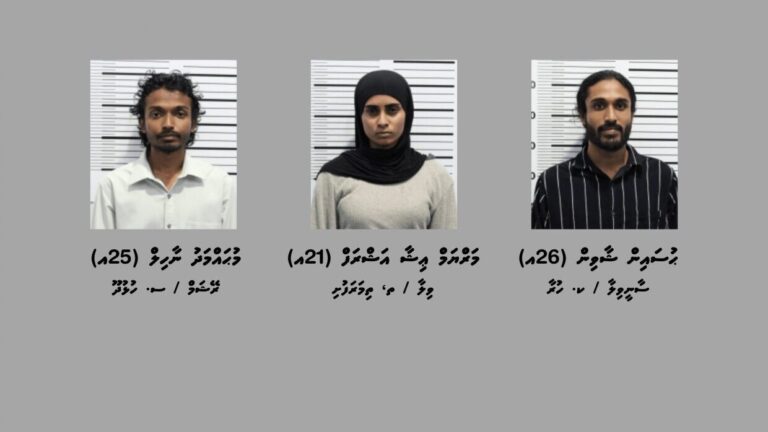 ފުލުހުން ހިންގި އޮޕަރޭޝަނެއްގައި ގިނަ އަދަދެއްގެ މަސްތުވާތަކެއްޗާއި ވޭޕް ކާޓްރިޖާއެކު ތިން މީހަކު ވަނީ ހައްޔަރުކޮށްފައި