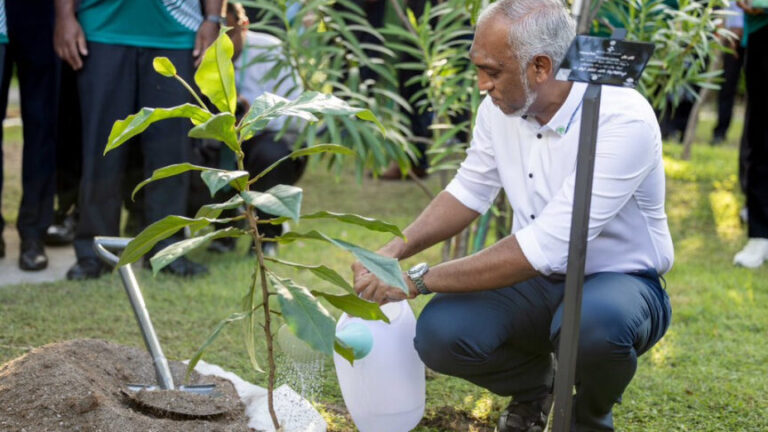 އިގްތިސާދު ސިންދަފާތު ކުރުމުގައި ދަނޑުވެރިންގެ ދައުރު ބޮޑު: ރައީސް