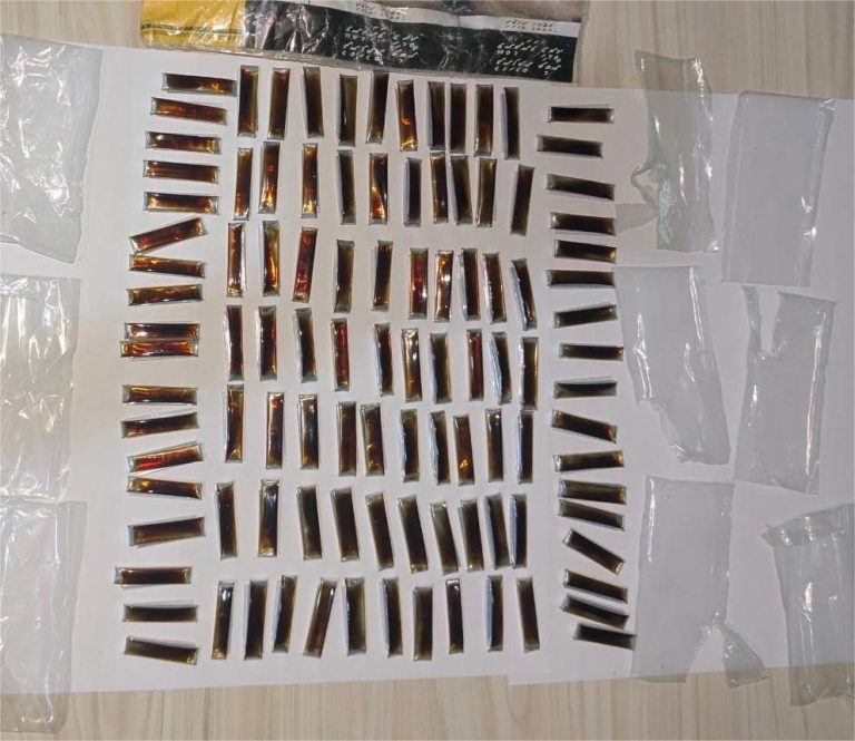 ތުޅާދޫއަށް އެތެރެކުރަން އުޅުނު މަސްތުވާތަކެތި ހޯދައި ފުލުހުން ބެލުމުގެ ދަށަށް ގެނެސްފި