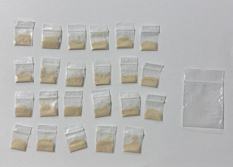 ހުޅުމާލޭ ކަންނެލި ޖެޓީ ސަރަހައްދުން މަސްތުވާތަކެތި ހޯދައި ފުލުހުންގެ ބެލުމުގެދަށަށް ގެނެސްފި