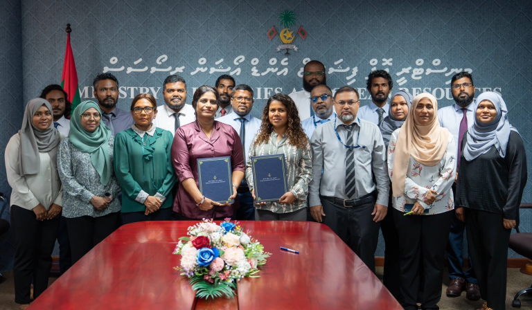 ބެޗްލަރސް ޑިގްރީ އިން ފިޝަރީޒް އެންޑް އެކުއާކަލްޗަރ ކޯހުގެ މަންހަޖު އެކުލަވާލުމުގެ މަސައްކަތް ފަށައިފި