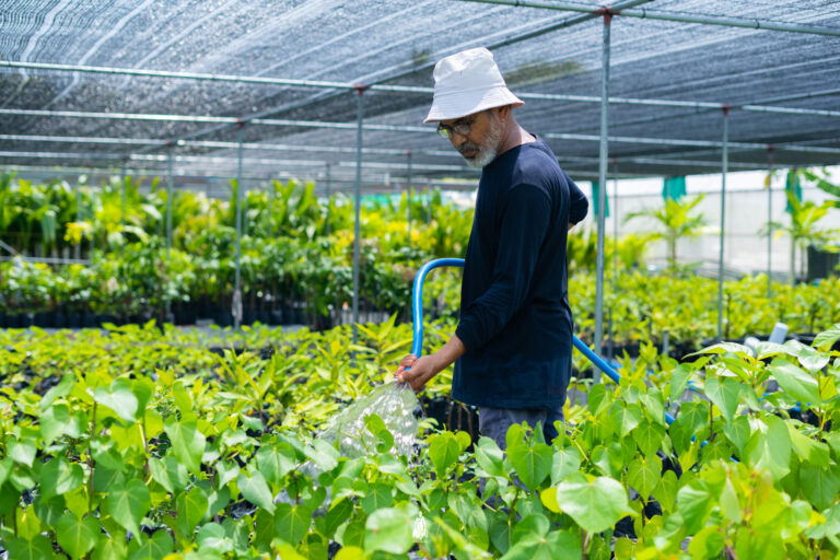 ދަނޑުވެރިކަމާއި ޖަނަވާރު ގެންގުޅުމުގެ ދާއިރާގެ ވިޔަފާރިތައް ކުރިއެރުވުމަށް އެކްސްޕޯއެއް ބާއްވަނީ