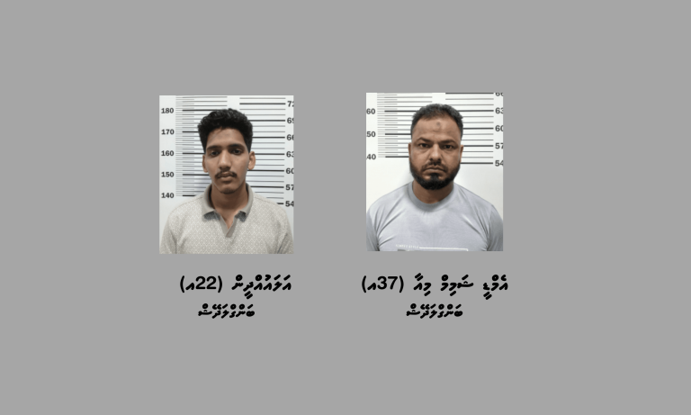 ގަވާއިދާ ހިލާފަށް ވިޔަފާރިކުރަމުންދާ ކަމަށް ތުހުމަތުކުރެވޭ ދެ ބިދޭސީން ހުޅުމާލެއިން ހައްޔަރުކޮށްފި
