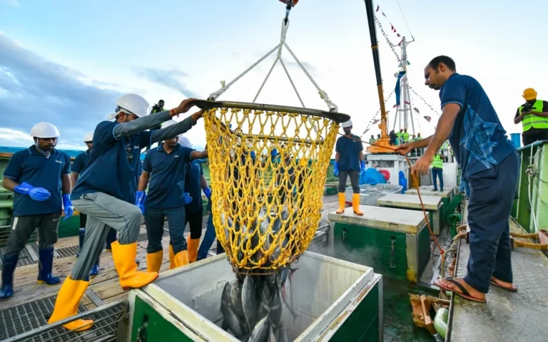 މި އަހަރުގެ ފުރަތަމަ 7 މަސް ދުވަހު މަސް އެކްސްޕޯޓް ކުރި މިންވަރު 88.8% އިތުރުވެއްޖެ