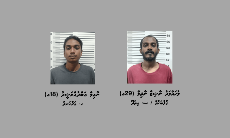 މަސްތުވާތަކެތީގެ މައްސަލައެއްގައި ހުޅުމާލެއިން ދެ މީހަކު ހައްޔަރުކޮށްފި