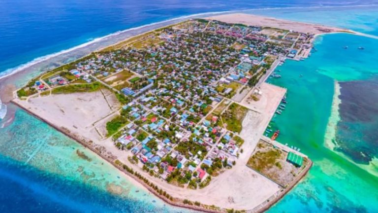 ހަށި ވިއްކުމުގެ މައްސަލައެއްގައި ތިނަދޫން ދެ މީހަކު ހައްޔަރުކޮށްފި