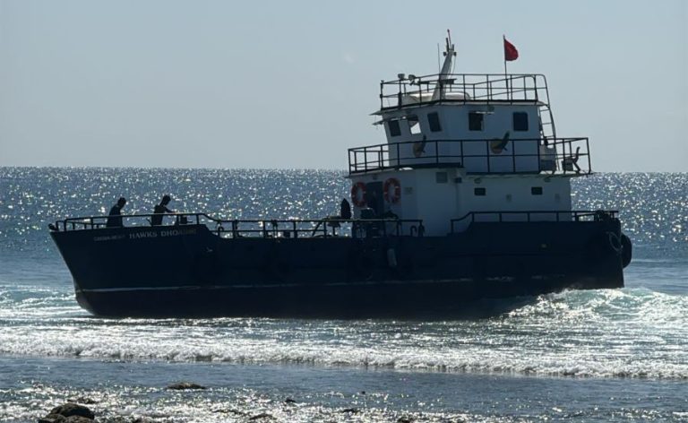 ހޯކްސްގެ ތެއޮ ބާޖެއް ފަރަކަށް އަރައިފި