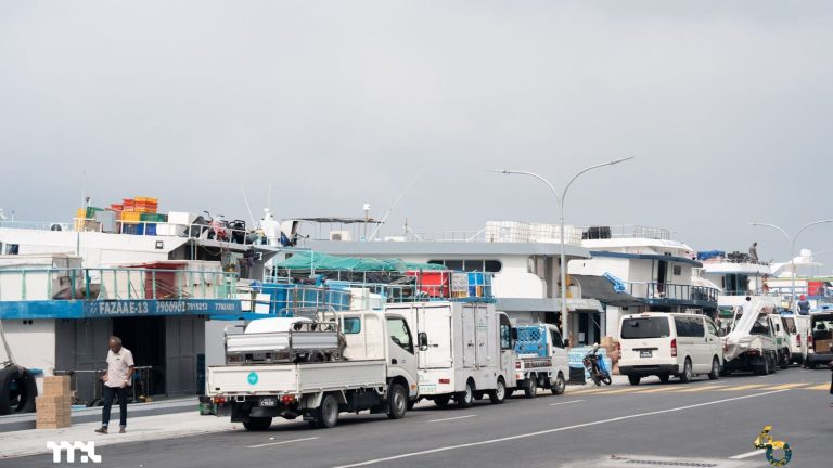 މާރުކޭޓު ކުރިމައްޗަށް ކައިރި ކުރާ އުޅަނދުތަކަށް ކަރަންޓާއި ފެން ފޯރުކޮށްދެނީ ނޯތު ހާބަރު