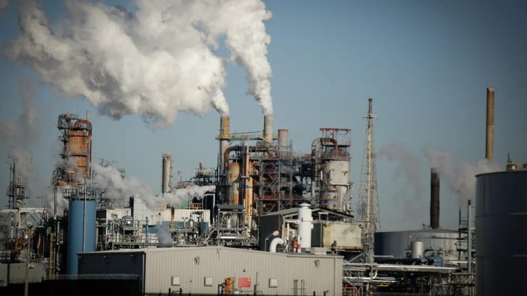 ދުނިޔޭގެ ބާޒާރުގައި ތެޔޮ ފީފާއެއްގެ އަގު 116 ޑޮލަރަށް އަރައިފި ތެޔޮ