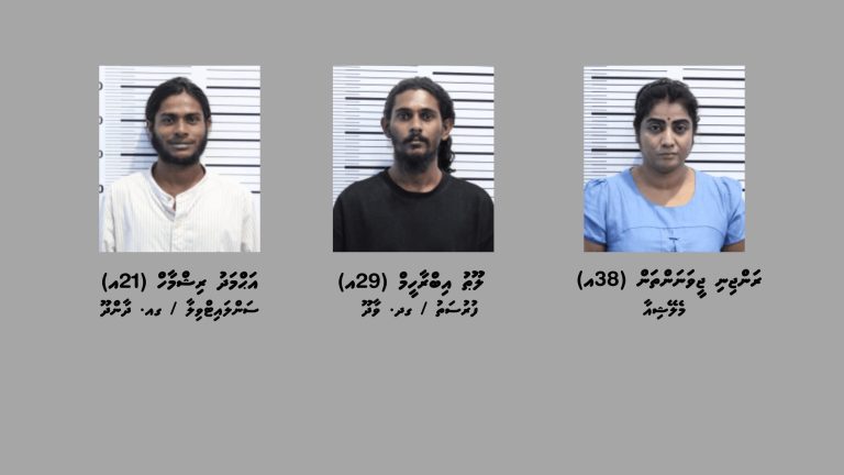 ދެ ދިވެހިންނާއި މެލޭޝިއާ އަންހެނަކު ގުޅިގެން އެތެރެކުރަން އުޅުނު މަސްތުވާތަކެތި އަތުލައިގެންފި
