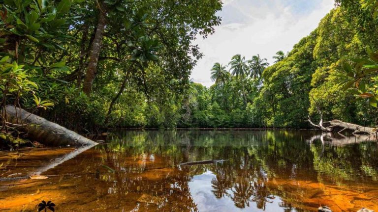 ޕަރީ ފެންގަނޑު ސަރަހައްދުގައި އިންފޮމޭޝަން ސެންޓަރެއް އަޅަނީ