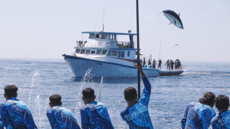 އެންސިސް އިން ހިލޭ އައިސް ދިނުން ހުއްޓާލައިފި