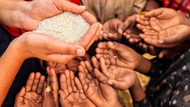 މެދުއިރުމަތީގެ ހަނގުރާމައިގެ ސަބަބުން “ދުނިޔޭގެ ކާނާގެ ރައްކާތެރިކަމަށް ނުރައްކާވޭ”: ޑަބްލިއު.ޓީ.އޯ