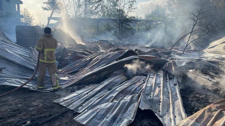 ހުޅުމާލޭ ވޯޓާ ތީމް ޕާކުގައި ރޯވި އަލިފާން ނިއްވާލައިފި