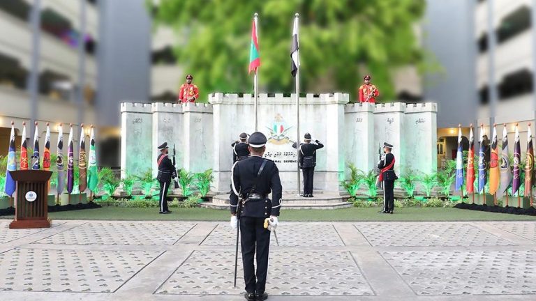 ސިފައިންގެ ދުވަހުގެ ހާއްސަ ރަސްމިއްޔާތުގެ ތެރެއިން