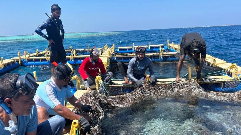 މެރިން ހެޗަރީ ސްކިލްސް ޑިވެލޮޕްމަންޓް ޕްރޮގްރާމްގެ ދެ ވަނަ ބުރުގައި ބައިވެރިވުމަށް ހުޅުވާލައިފި