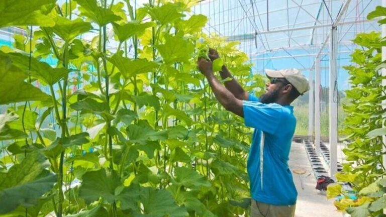 “ވިލުންވެށި ގްރާންޓް” އަށް ކުރިމަތިލުމުގެ ފުރުސަތު ހުޅުވާލައިފި "ވިލުންވެށި ގްރާންޓް" އަށް ކުރިމަތިލުމުގެ ފުރުސަތު ހުޅުވާލައިފި