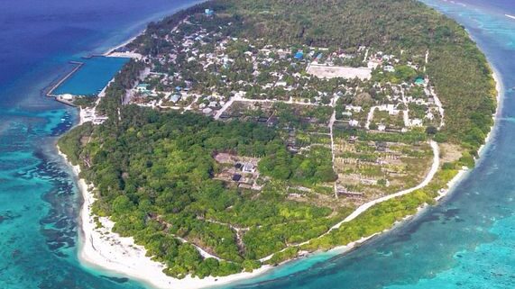 ވައިކަރަދޫއިން ގަސްގަހާގެއްސާއި ކަޅުފަސް ބޭރުކުރާ މައްސަލައިގައި ކައުންސިލާ ދެކޮޅަށް ކޯޓަށް މައްސަލައެއް ހުށަހަޅައިފި ވައިކަރަދޫ