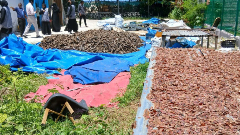 ވިލިމާލޭގައި ސާފުތާހިރުކަން ކުޑަކޮށް ވަޅޯމަސް ތައްޔާރުކުރާ މައްސަލަ އިސްލާހުކުރަން ވަނީ އަންގާފައި-- ފޮޓޯ: މާލޭ ސިޓީ ކައުންސިލް