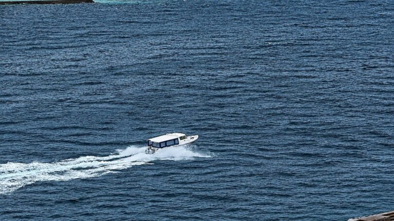 މޫސުން ގޯސް ވިއްސާރަ ދުވަހެއްަ