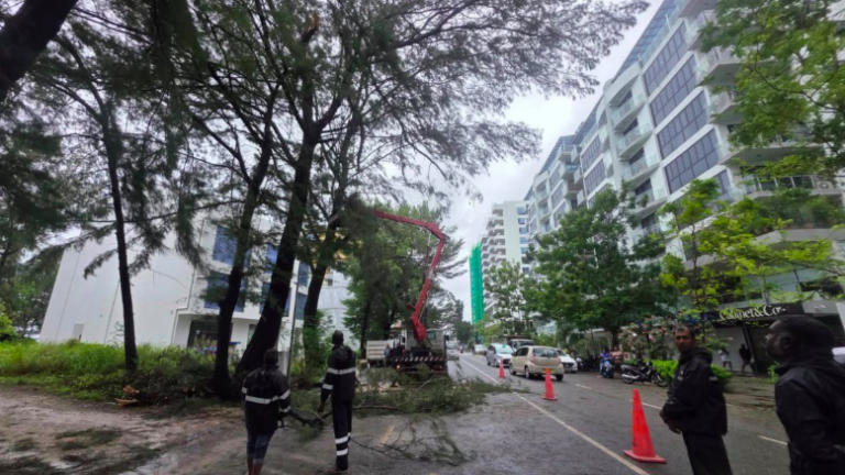 ވިއްސާރައާ ގުޅިގެން ހުޅުމާލޭގެ މަގުތައް ސާފުކުރަން އެޗްޑީސީއާއި ފުލުހުން ނުކުމެއްޖެ